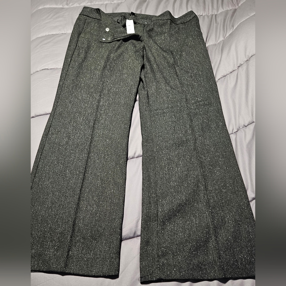 New with tags Ann Taylor Factory pants